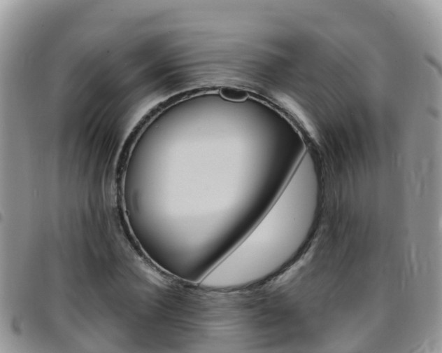 X0000096160924200801180848