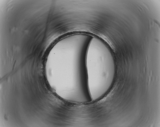 X0000096160926200801180848
