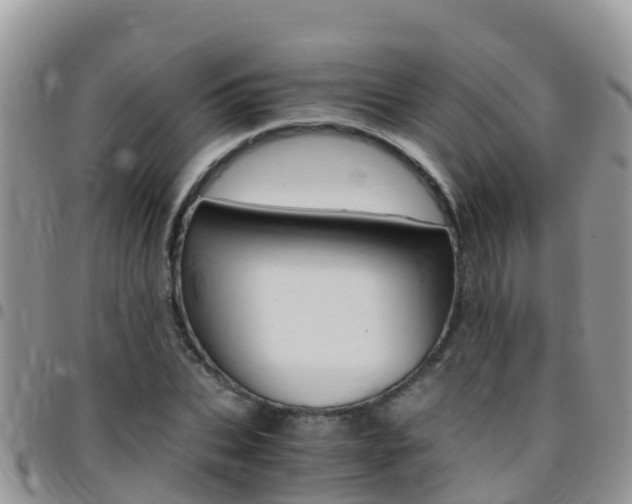 X0000096160927200801180848