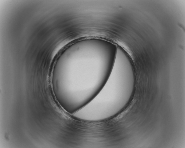 X0000096160928200801180848