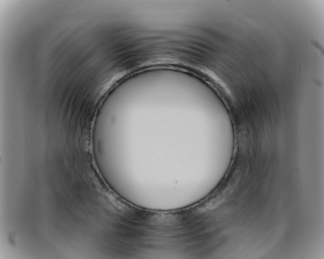 X0000096160929200801180848