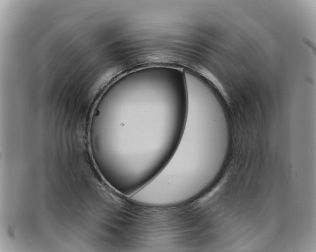 X0000096160930200801180848