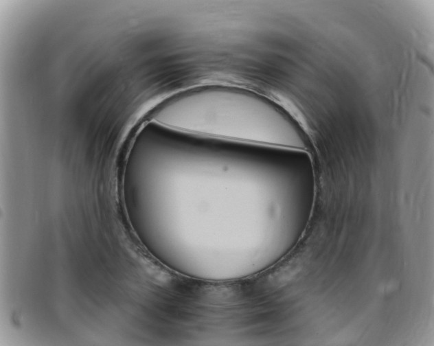 X0000096160931200801180848