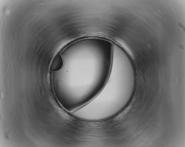 X0000096160932200801180848