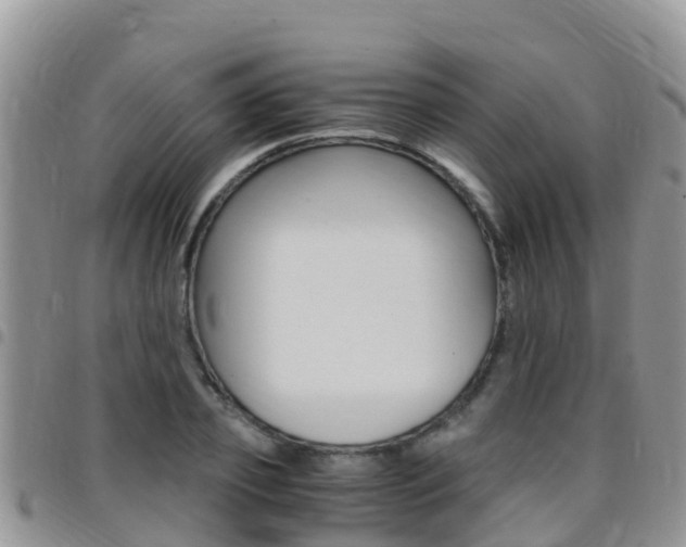 X0000096160933200801180848