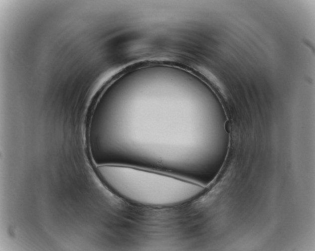 X0000096160935200801180848
