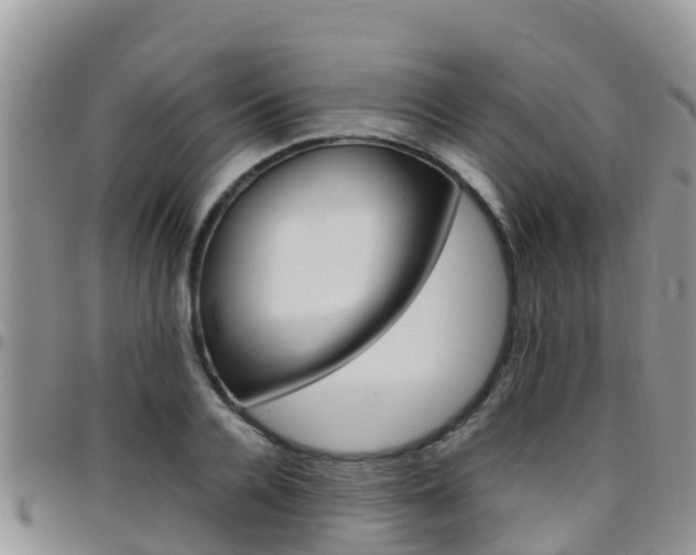 X0000096160936200801180848