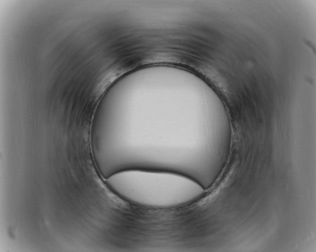 X0000096160937200801180848
