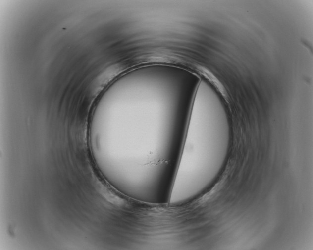 X0000096160938200801180848