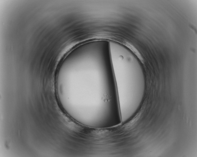 X0000096160939200801180848