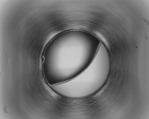 X0000096160940200801180848