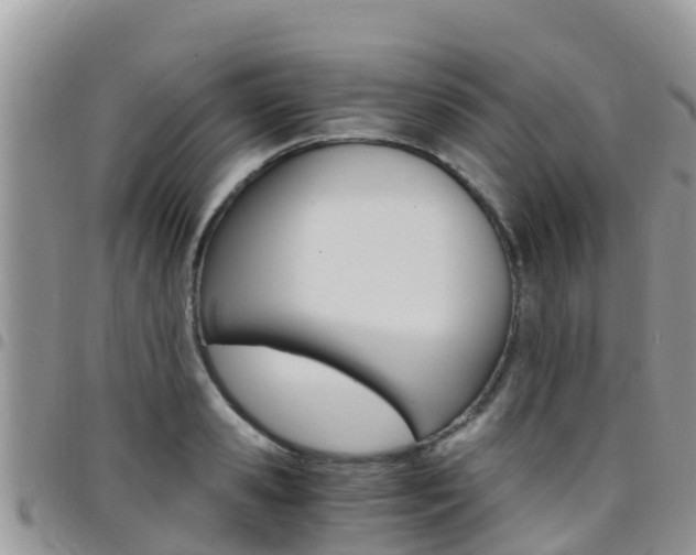 X0000096160941200801180848