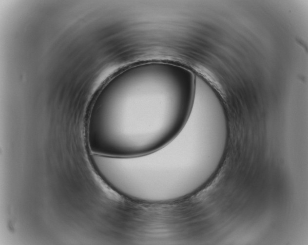 X0000096160942200801180848