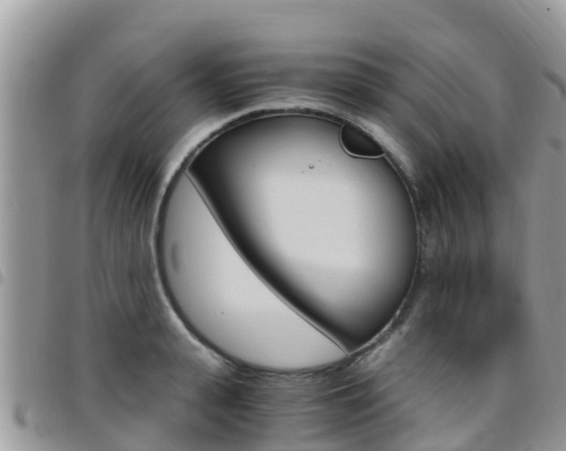 X0000096160943200801180848