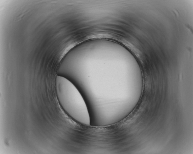 X0000096160945200801180848