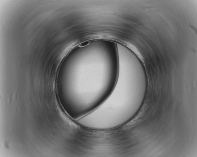 X0000096160946200801180848