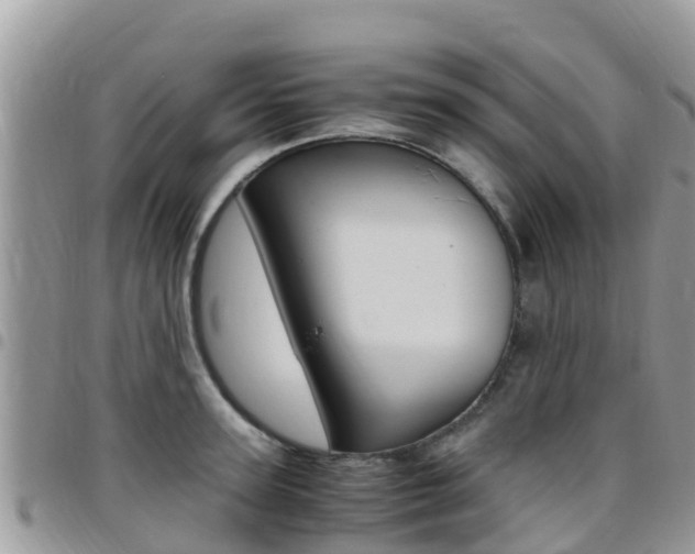 X0000096160947200801180848