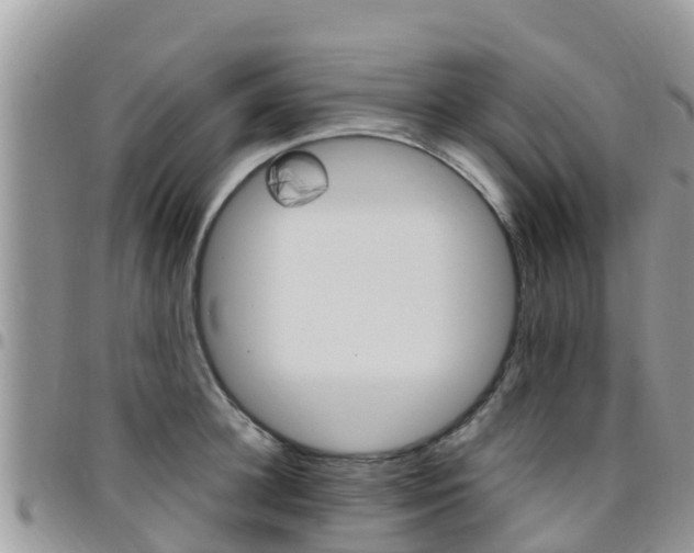 X0000096160948200801180848