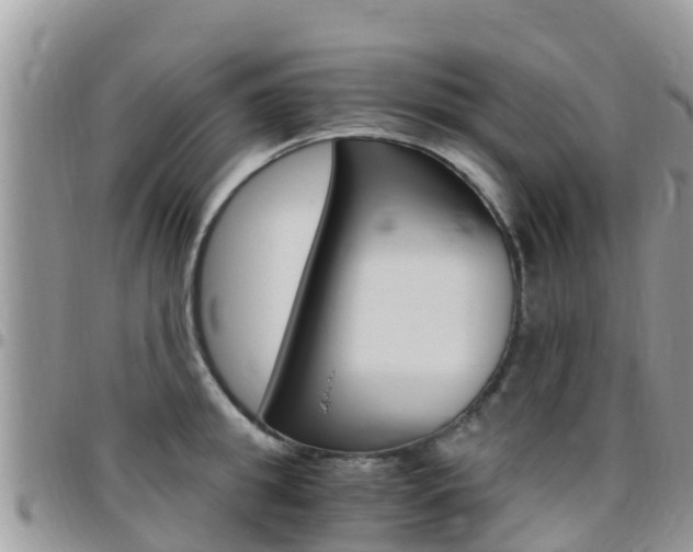 X0000096160949200801180848