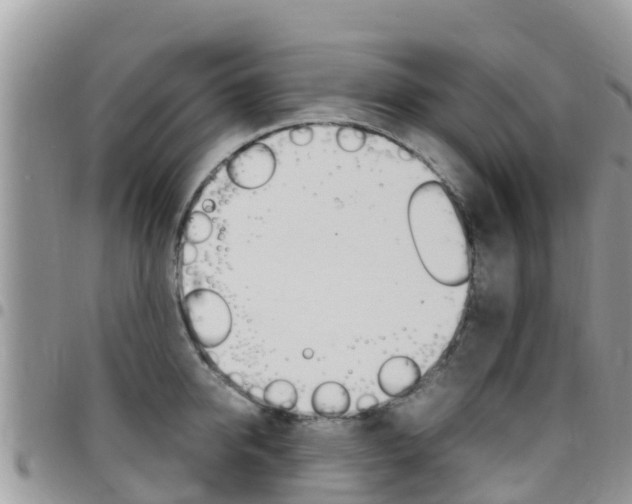 X0000096160950200801180848
