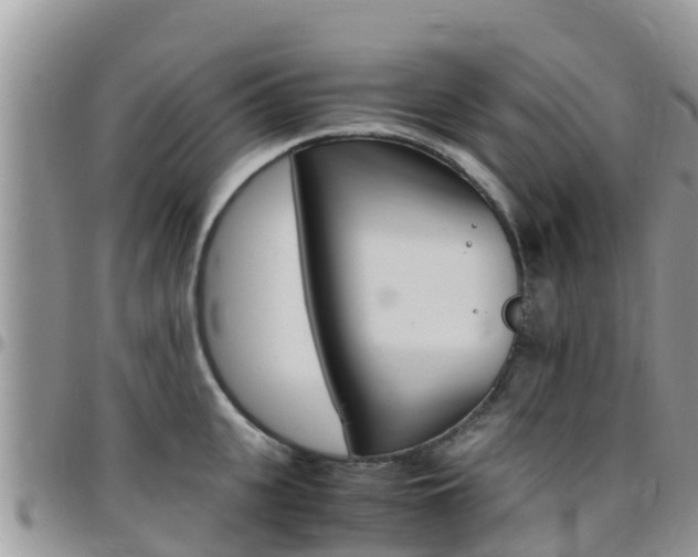 X0000096160951200801180848