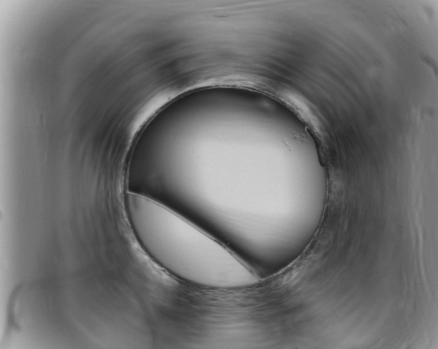 X0000096160952200801180848