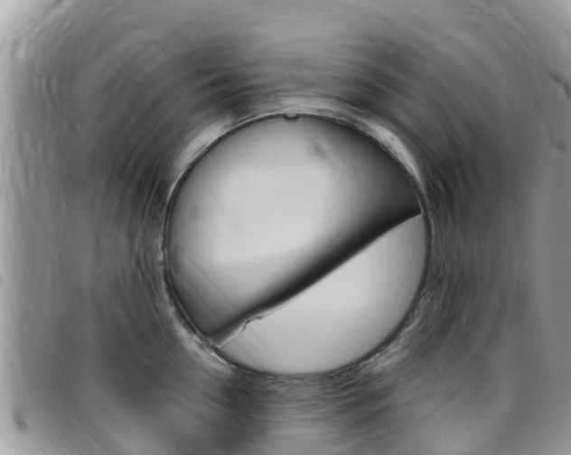 X0000096160954200801180848