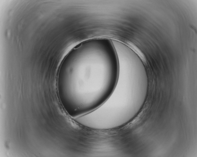 X0000096160956200801180848