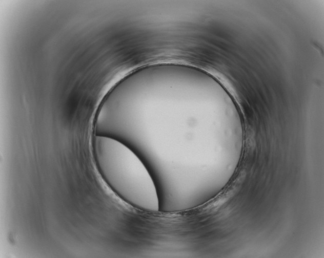 X0000096160957200801180848