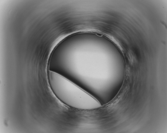 X0000096160959200801180848