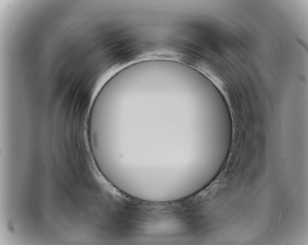 X0000096160960200801180848