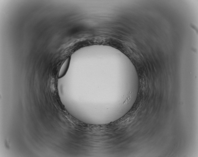 X0000096160962200801180848