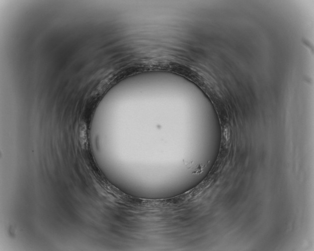 X0000096160963200801180848