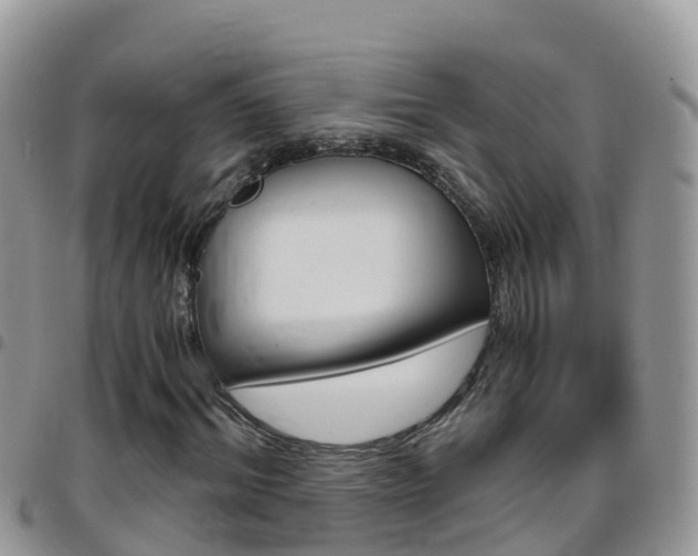 X0000096160964200801180848