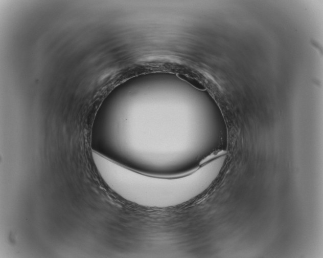 X0000096160965200801180848