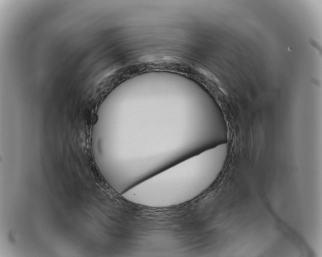 X0000096160966200801180848
