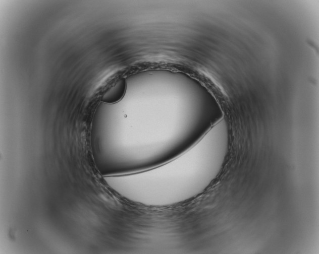X0000096160968200801180848