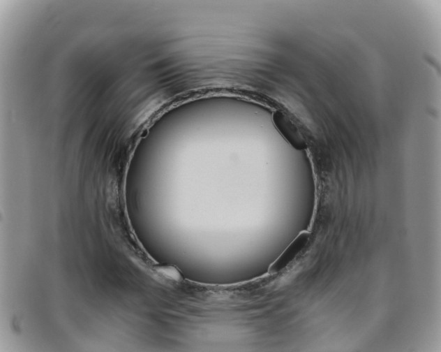 X0000096160969200801180848