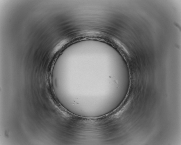 X0000096160970200801180848