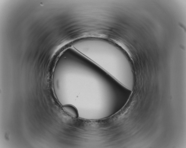 X0000096160971200801180848