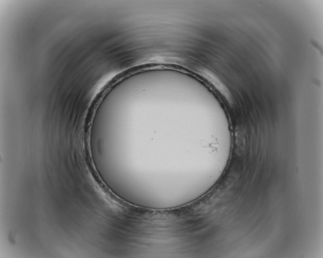 X0000096160972200801180848