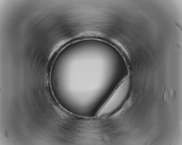 X0000096160973200801180848