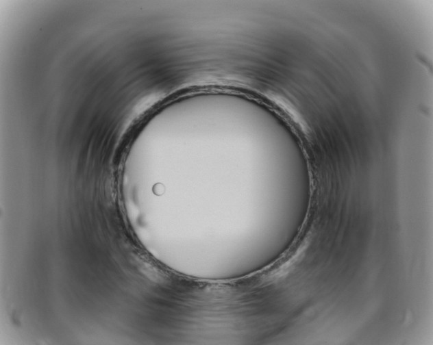 X0000096160974200801180848