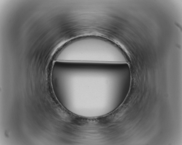 X0000096160975200801180848