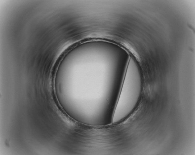 X0000096160976200801180848
