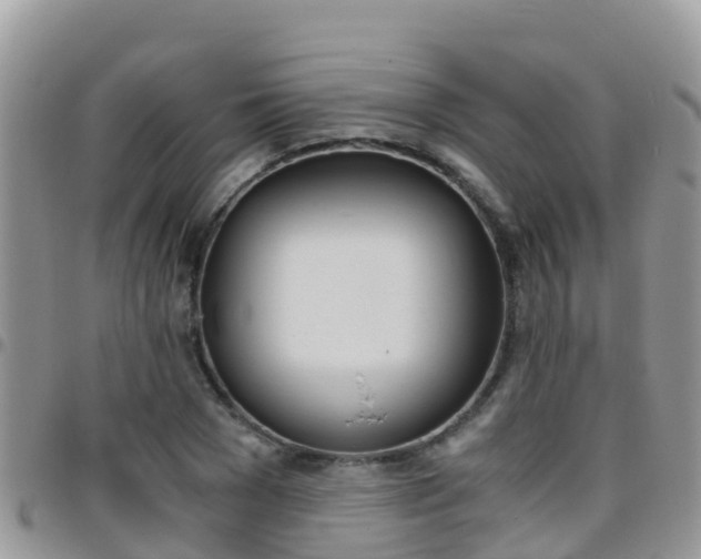 X0000096160977200801180848