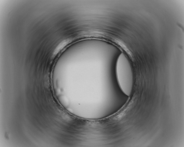X0000096160978200801180848