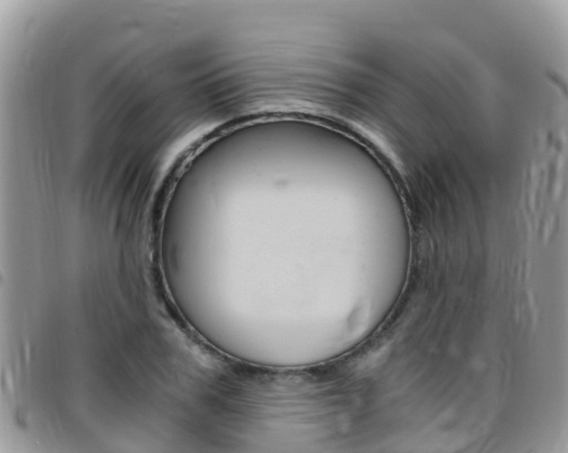 X0000096160979200801180848