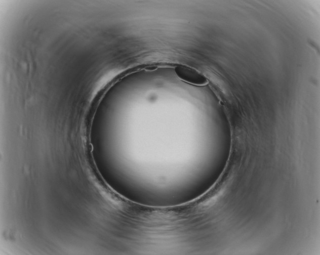 X0000096160981200801180848