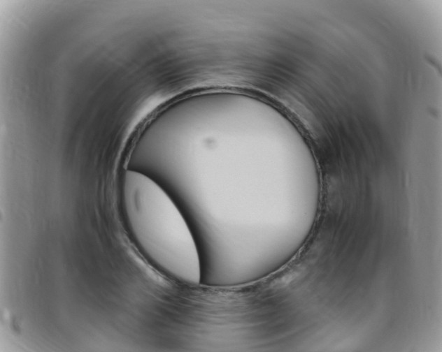 X0000096160982200801180847